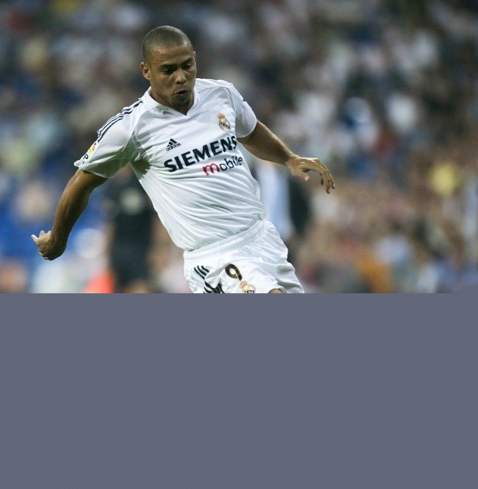 仅展示了青 仅展示了青