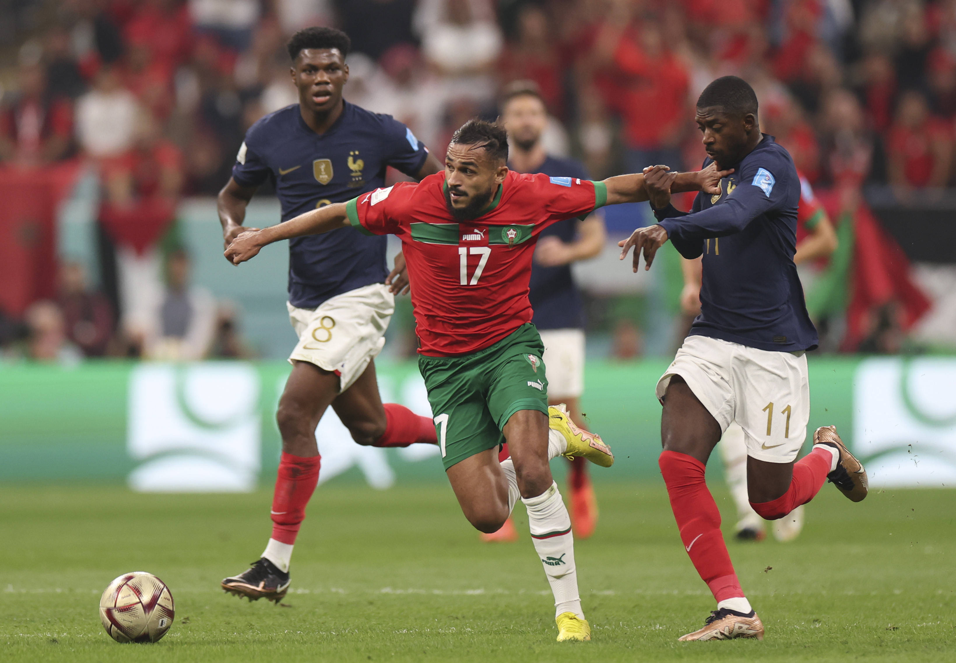 的评级体系 的评级体系